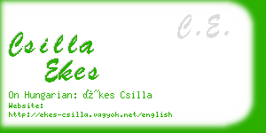 csilla ekes business card